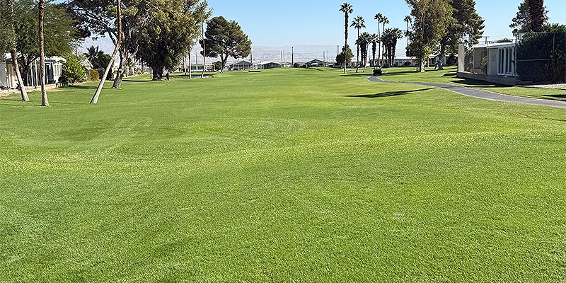 Millenium Course 1st Hole from tee box