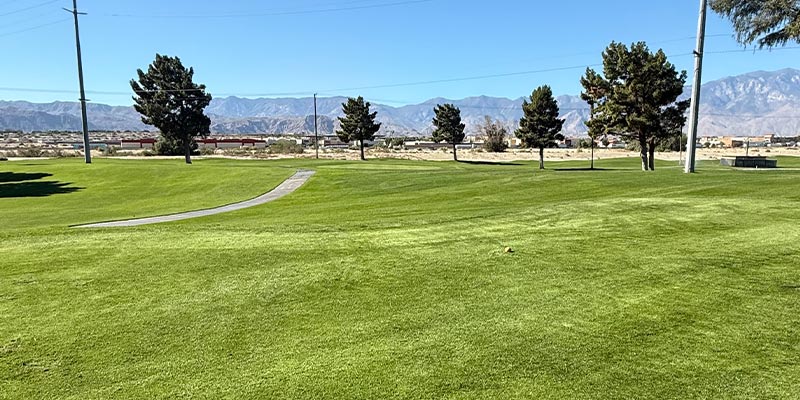 Millenium Course 10th Hole from tee box