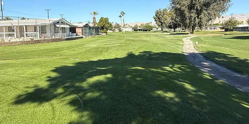 Millenium Course 13th Hole from tee box