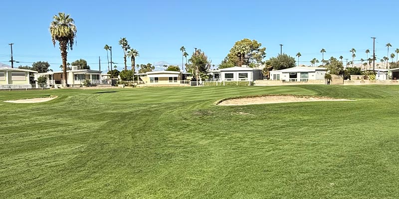 The green on the 14th hole on the Millennium course