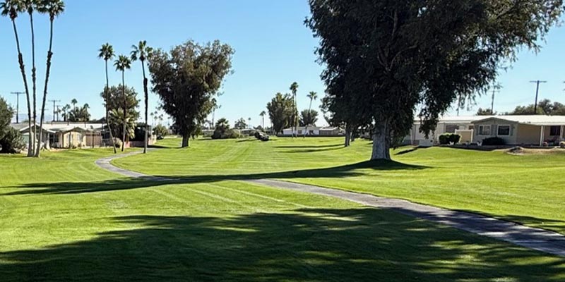 Millenium Course 18th Hole from tee box