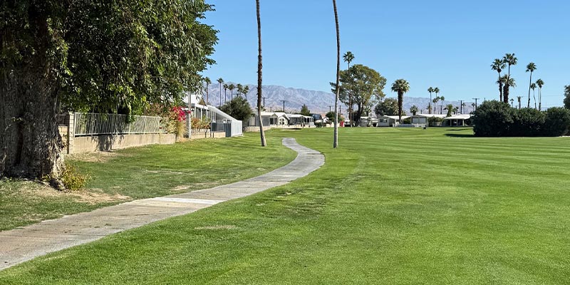 Tht second shot on 18 on the Millennium course