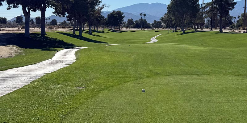 Millenium Course 6th Hole from tee box