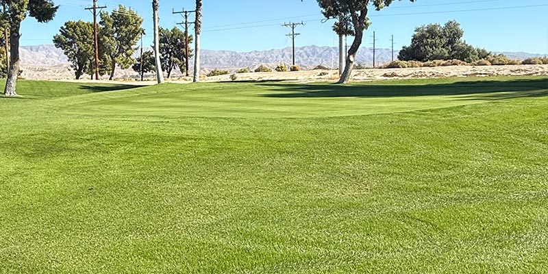 The green on the 7th hole on the Millennium course