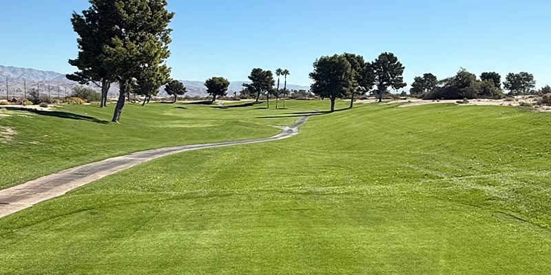 Millenium Course 8th Hole from tee box