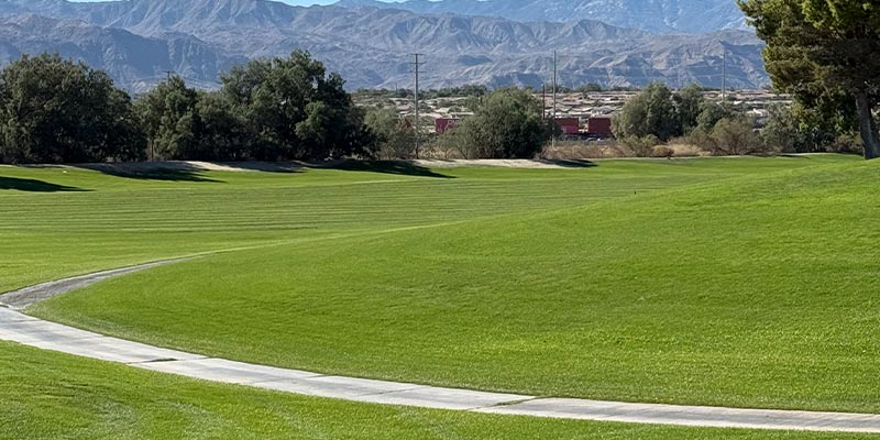 Millenium Course 9th Hole from tee box