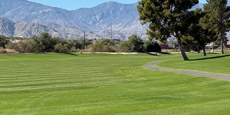 Millenium Course 9th Hole from tee box